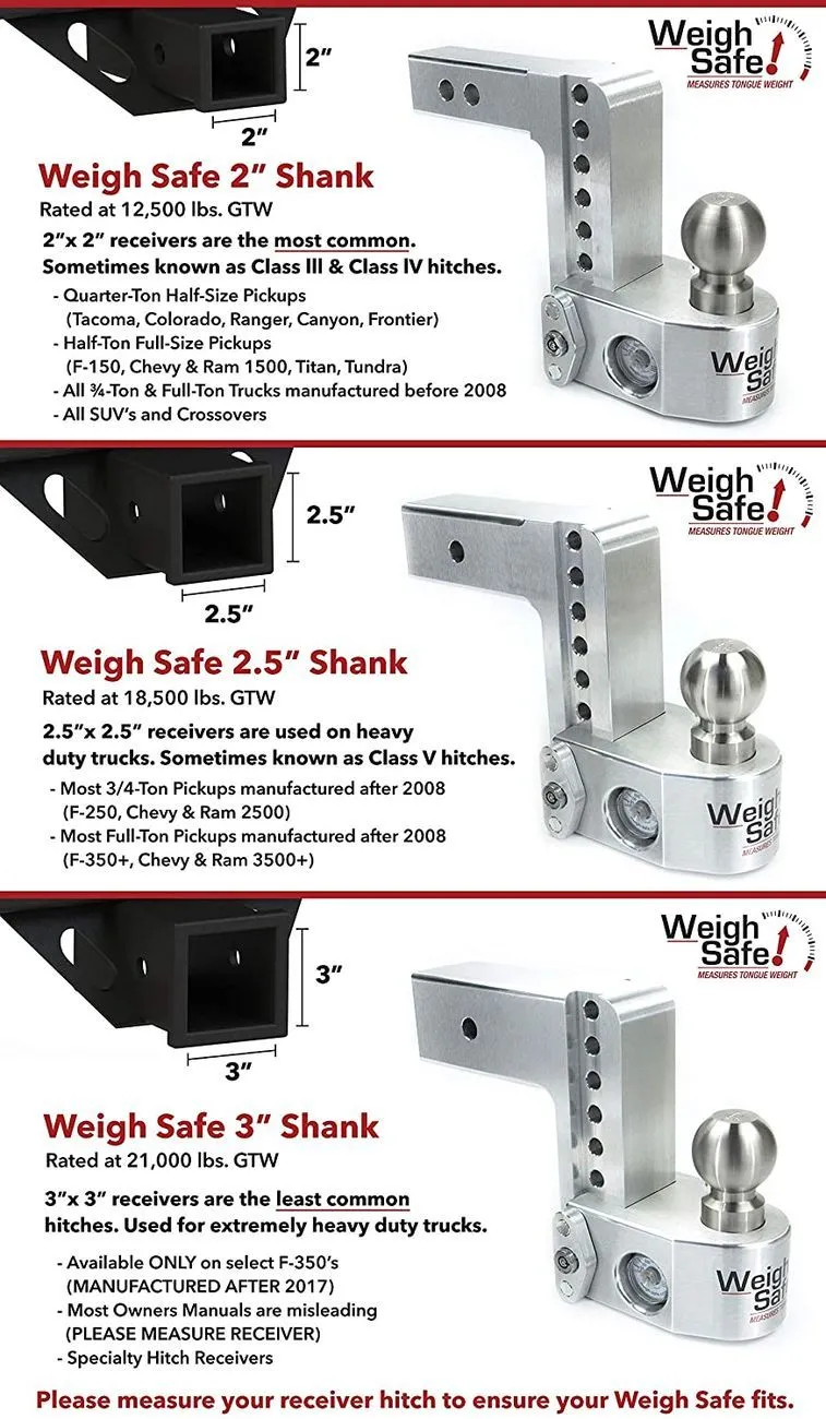 Weigh Safe 10
